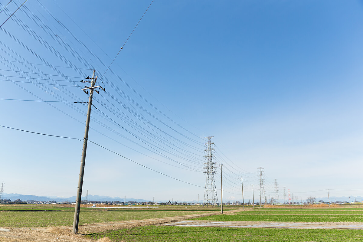 Multiple power lines on vacant land